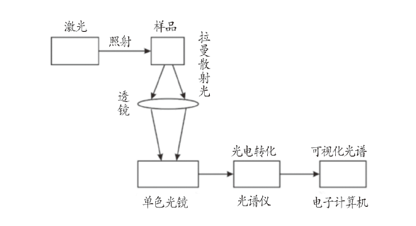 便攜式光纖拉曼